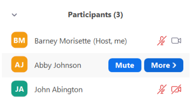 Managing_participants_1.png